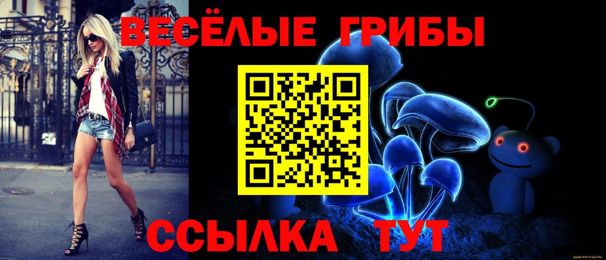 Псилоцибиновые грибы GOLDEN TEACHER Обь